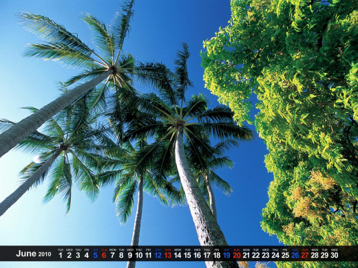 402831 (a): :1600x1200